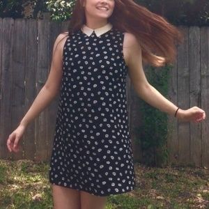 Daisy Floral Shift Dress with White Collar, Black Background